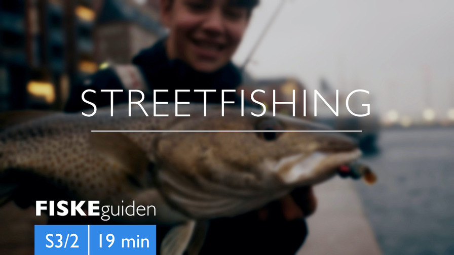 Fiskeguiden Streetfishing