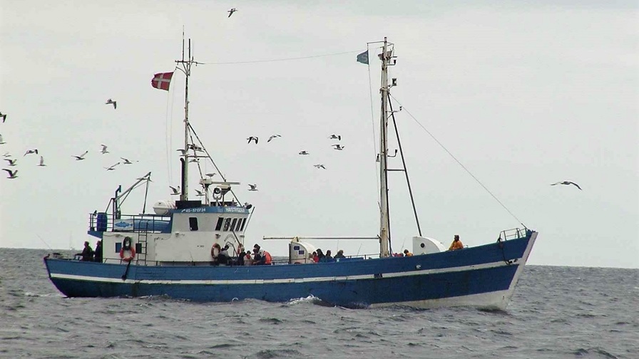Havstrygeren 290602 Turbåd Øresund